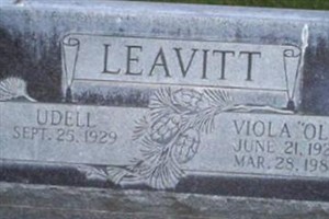 Viola "Olie" Messenger Leavitt