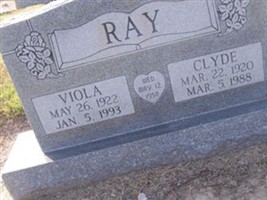 Viola Ray Viola Ray