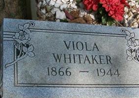 Viola Whitaker