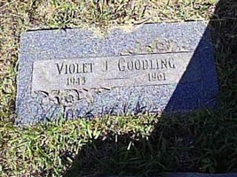Violet J. Goodling Violet J. Goodling