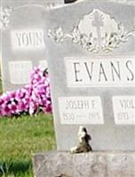 Violet M Evans