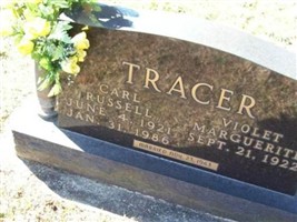 Violet Marguerite Tracer