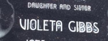 Violeta Zamora Gibbs Violeta Zamora Gibbs