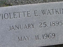Violette E Watkins