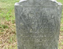 Virgil L Savage