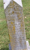 Virgil Wilson