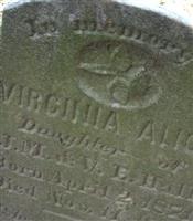 Virginia Alice Hall
