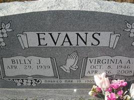 Virginia Ann Evans