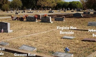 Virginia Burnside