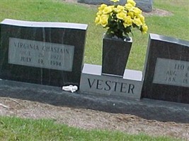 Virginia Chastain Vester