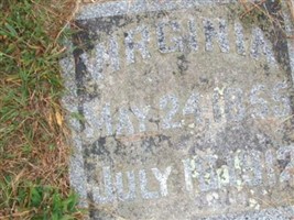 Virginia Chidster Pittenger Virginia Chidster Pittenger