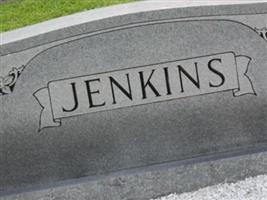 Virginia Cline Jenkins