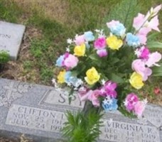 Virginia Daniels Spires