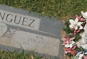 Virginia Dominguez Virginia Dominguez