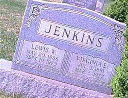 Virginia E Jenkins