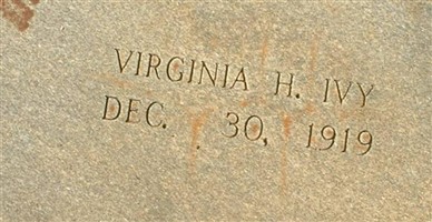 Virginia Ivy