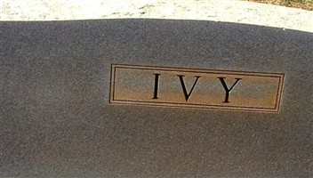 Virginia Ivy