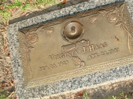Virginia J Haas