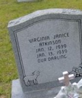 Virginia Janice Atkinson Virginia Janice Atkinson