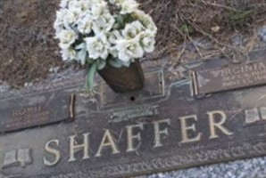 Virginia L Shaffer