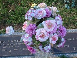 Virginia Lee Edwards Nester Virginia Lee Edwards Nester