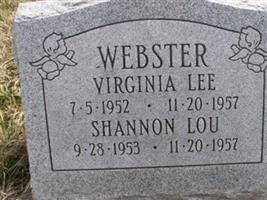 Virginia Lee Webster