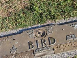 Virginia M Bird