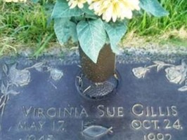 Virginia Sue Gillis Virginia Sue Gillis