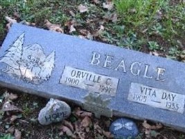 Vita Day Beagle