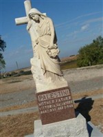 Vittoria Palestini Vittoria Palestini