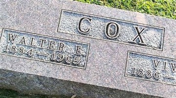 Viva Cook Cox Viva Cook Cox