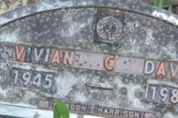 Vivian C Davis Vivian C Davis