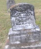 Vivian Colley