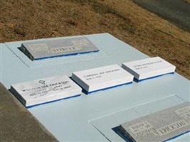 Vivian F. Erickson Vivian F. Erickson