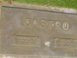 Vivian J. Castro Vivian J. Castro