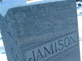 Vivian L Jamison Vivian L Jamison