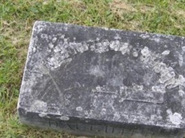 Vivienne Rogers Austin