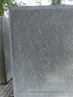 Vizefeldwebel Johannes Risser Vizefeldwebel Johannes Risser