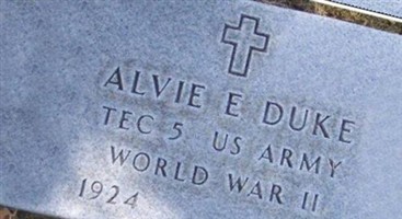 Vlvie E. Duke