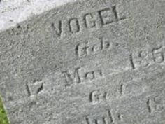 Vogel