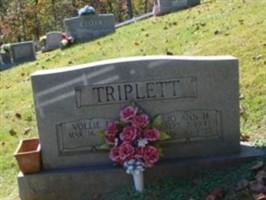 Vollie Triplett