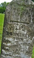 Voltier Roundtree