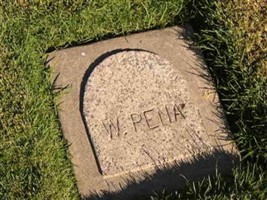 W. Pena W. Pena