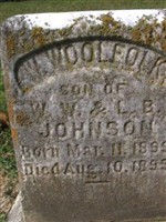 W Woolfolk Johnson W Woolfolk Johnson