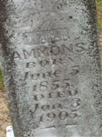 W. A. Ammons