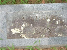 W. A. Fleming W. A. Fleming