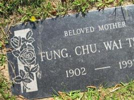 Wai Tsing Chu Fung