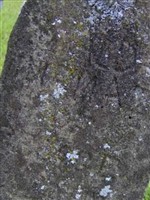 Walda Collands