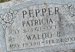 Waldo B Pepper Waldo B Pepper