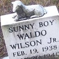 Waldo Wilson, Jr